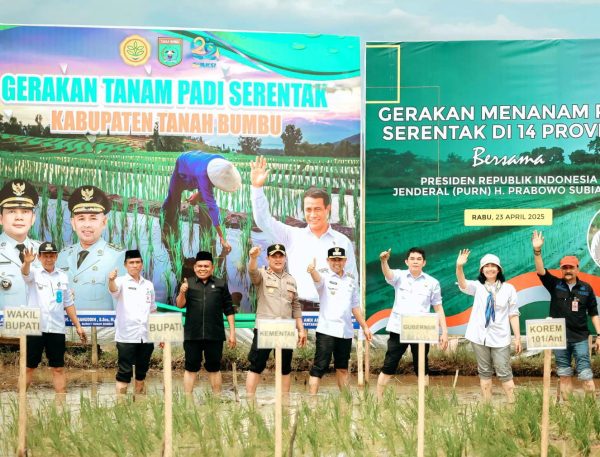 Tanam Padi Serentak Bersama Presiden, Kegiatan di Kalsel Dipusatkan di Tanbu dan Dipimpin Bupati Andi Rudi Latif