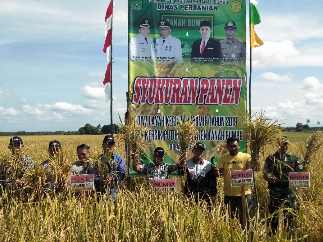 Keberhasilan Panen Raya Motivasi Petani Kab Tanah Bumbu