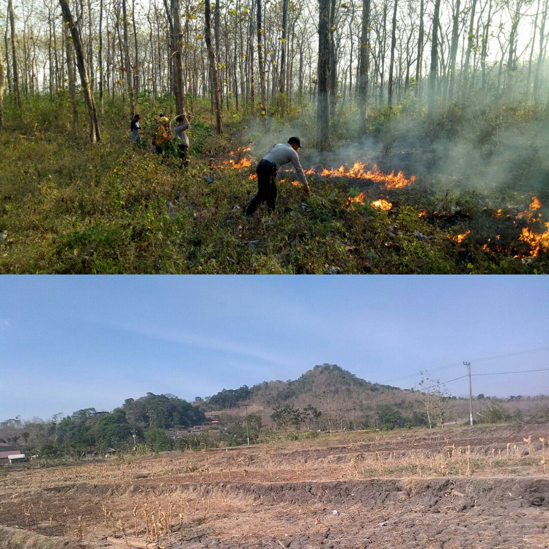 Hutan Lereng Wilis Gundul Rawan Longsor di Musim Hujan