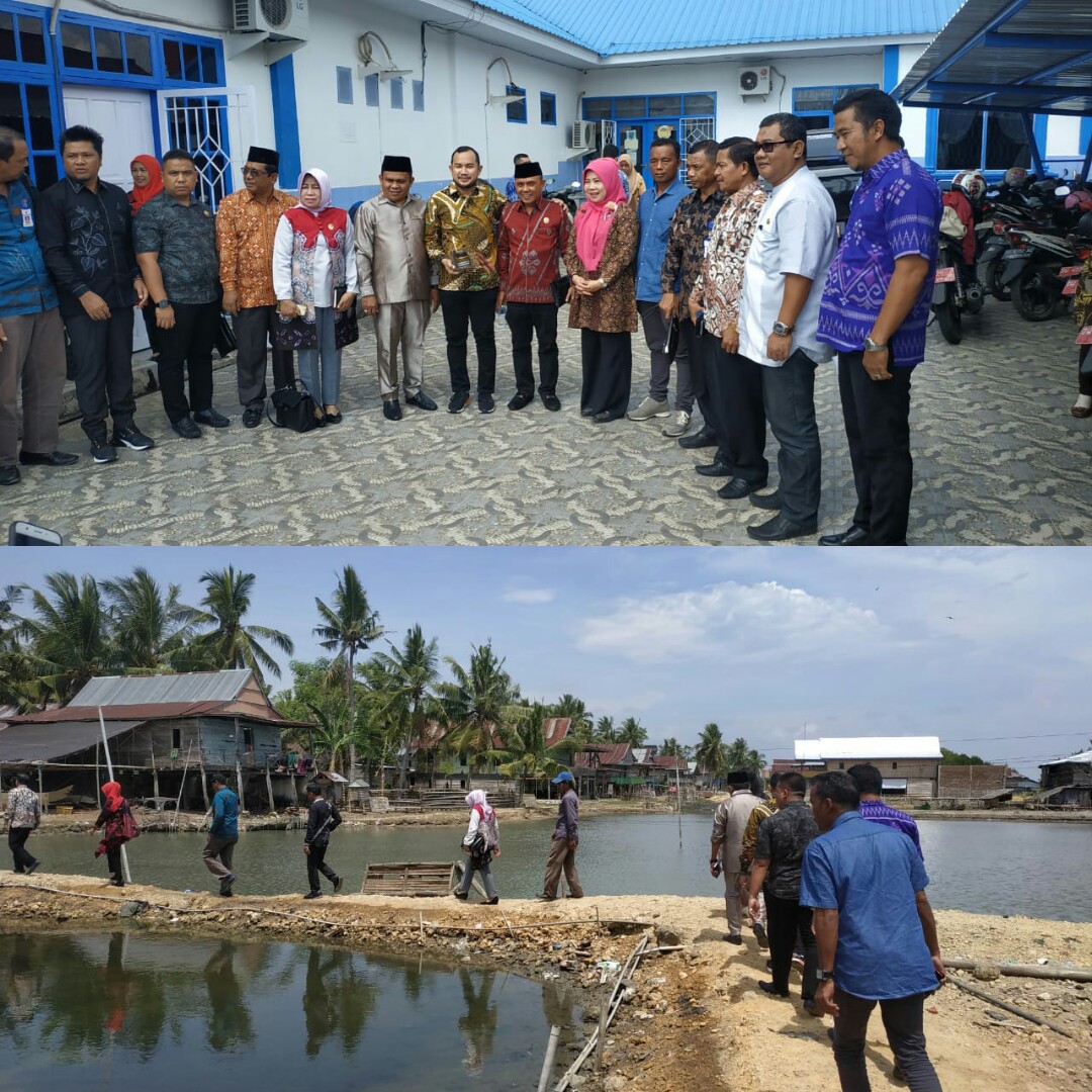 DPRD, Pembenihan Kepiting Ada Di Tanah Bumbu