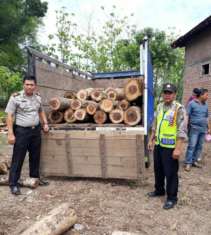 Polhutmob Pergoki Pembawa Kayu Jati Tanpa SKSHH