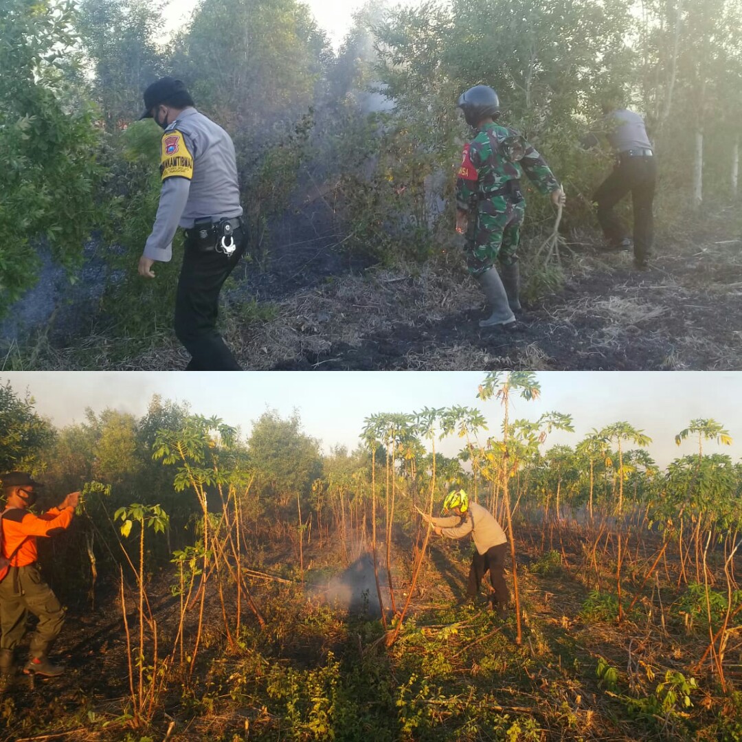 Polhut-TNI-Polri Sinergi Padamkan Karhutla