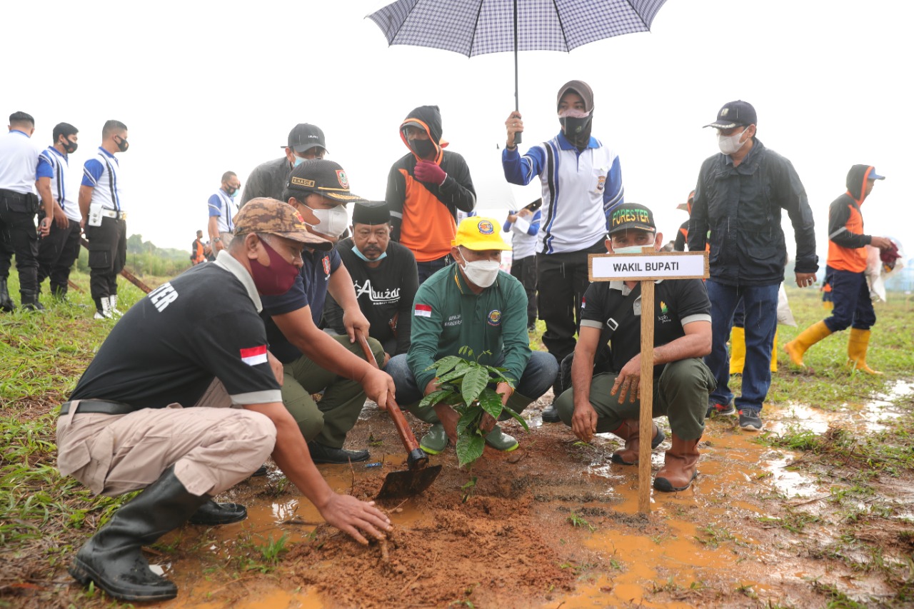 Dukung Program Revolusi Hijau dengan Penanaman Pohon