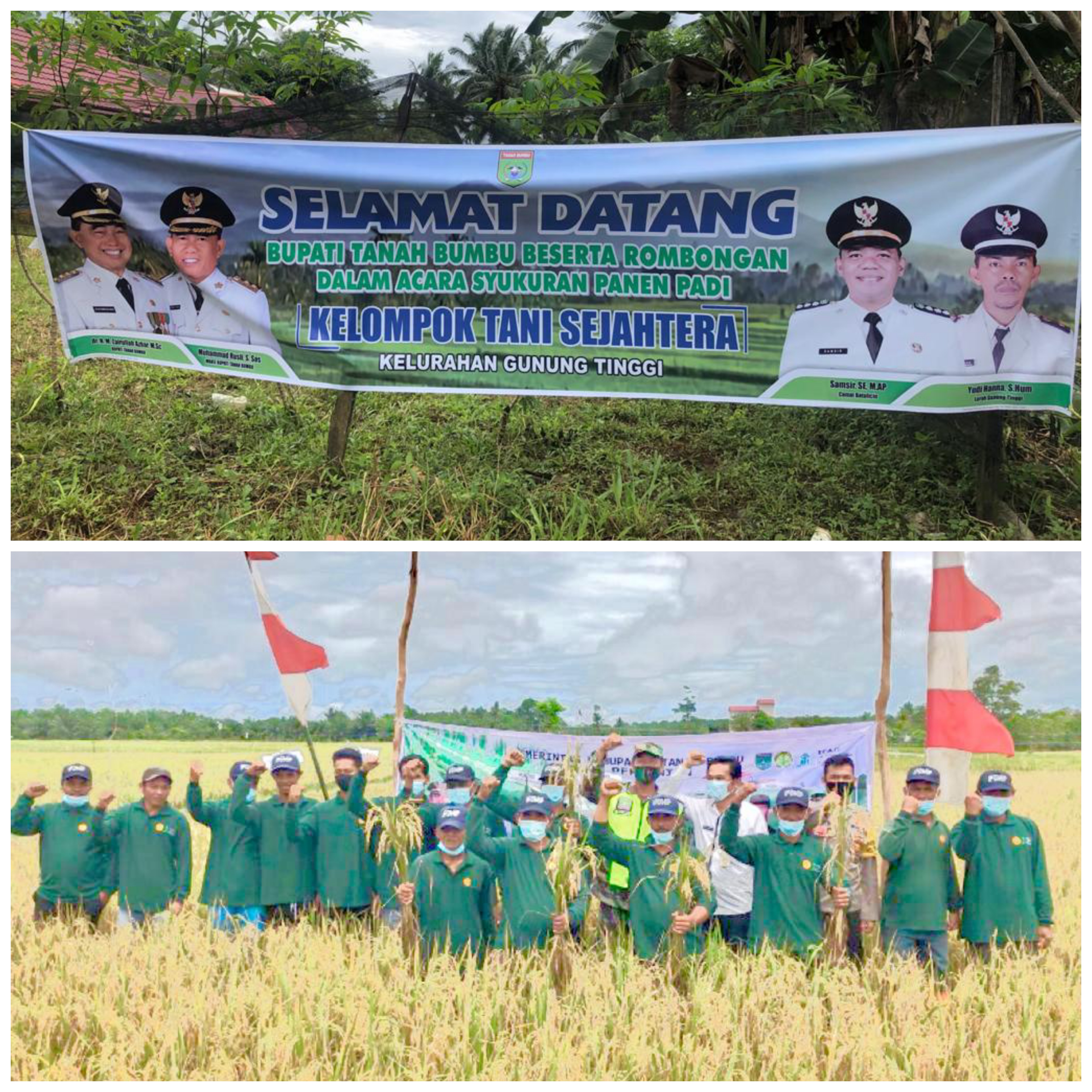 Panen Raya Padi, Kelompok Tani Sejahtera Gunung Tinggi Gelar Syukuran