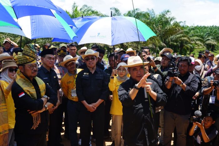 Kick Off Siska Ku Intip di Tanah Bumbu, Mentan RI Dorong Pengembangan Sapi Ternak Di Kalsel