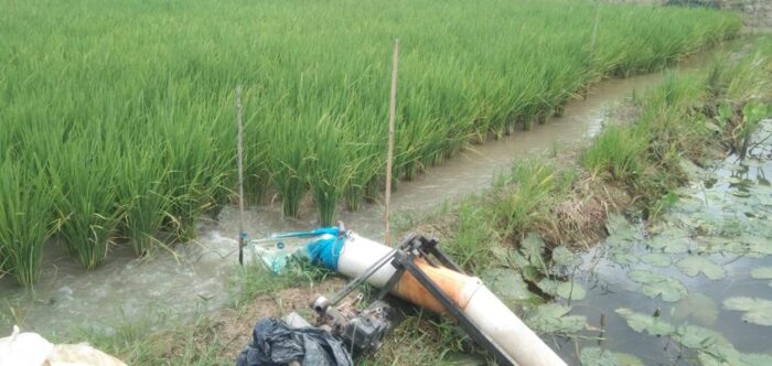 Cegah Dampak El Nino, DKPP Tanbu Berikan Langkah Penanganan