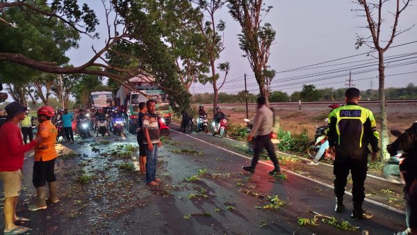 Kapolres Nganjuk Apresiasi Tindakan Cepat Polsek Sukomoro, BPBD dan Warga Atasi Patahan Pohon di Jalan Kedungsuko