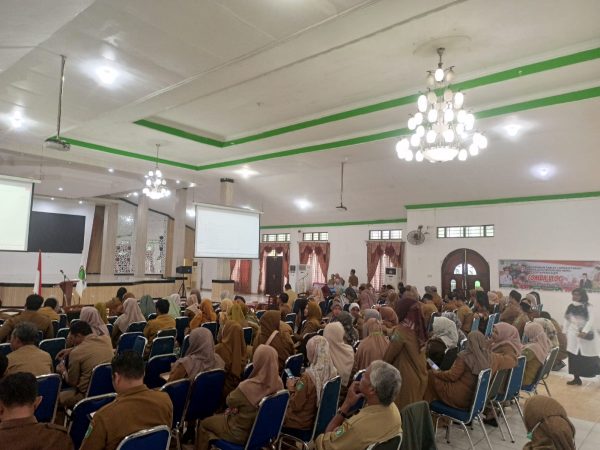 Pemkab Tanbu Gelar Pemberian Tablet Tambah Darah dan Lomba Vlog Stunting