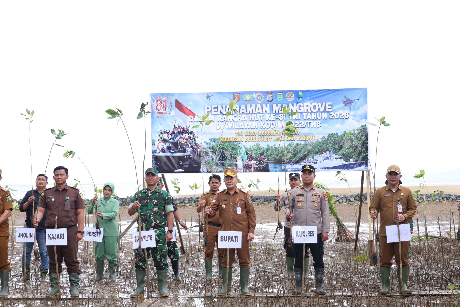 Tanah Bumbu Tanam 1.000 Mangrove Peringati HUT ke-81 TNI